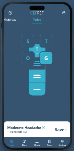 CEFREF daily input screen